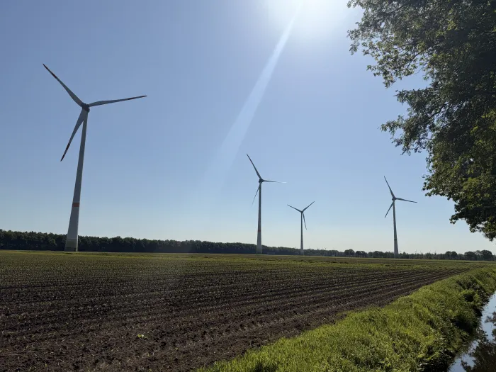 Ein Bild von einem Feld mit Windrädern